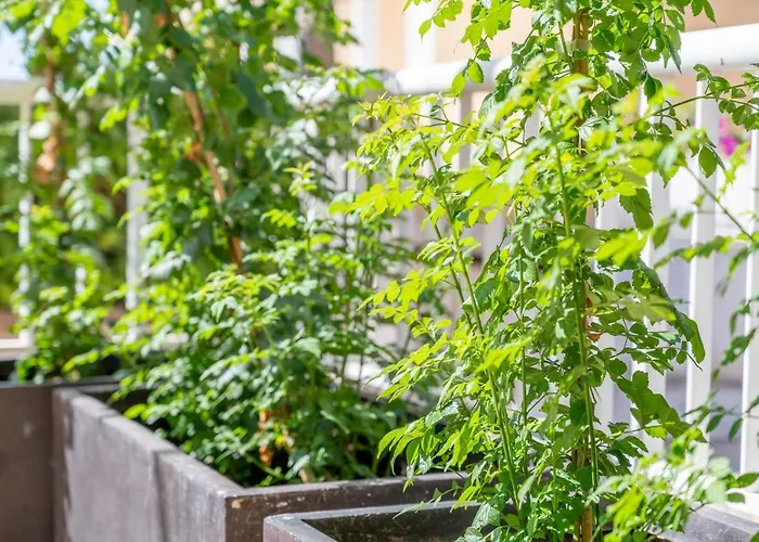 Talaia Bajos A Apartamento