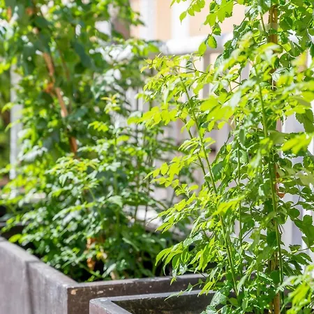 Talaia Bajos A Lägenhet